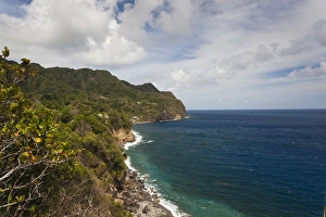 Images Dated 21st March 2012: Dominica, Roseau, Grand Bay Area, Grand Bay Coastline