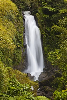 West Indies Prints: Dominica, Roseau, Roseau Valley, Trafalgar Falls