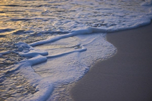 Images Dated 13th November 2009: Dominican Republic, Caribbean, Punta Cana, Bavaro, Bavaro Beach, Atlantic Ocean