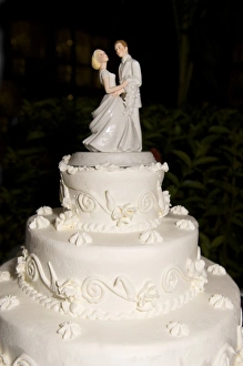 Images Dated 19th November 2009: Dominican Republic, Caribbean, Punta Cana, Bavaro, destination wedding, wedding cake
