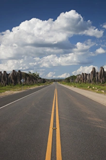 Images Dated 18th December 2009: Dominican Republic, Central Area, Finca de Palma, RN7, highway to the Samana Peninsula