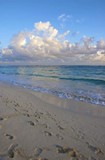 Images Dated 19th November 2008: Dominican Republic, La Altagracia, Punta Cana, Bavaro Beach, sunrise