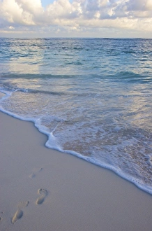 Images Dated 19th November 2008: Dominican Republic, La Altagracia, Punta Cana, Bavaro Beach at sunrise