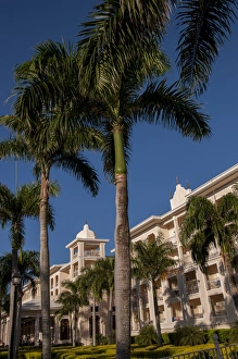 Images Dated 7th March 2011: Dominican Republic, Punta Cana, Higuey, Bavaro, Riu Palace, palm tree