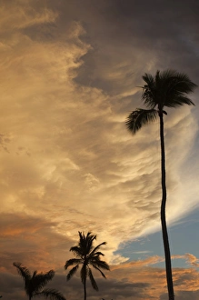Dominican Republic, Punta Cana Region, Bavaro, palms and sunset sky