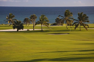 Images Dated 25th December 2009: Dominican Republic, Punta Cana Region, Punta Cana, La Cana Golfcourse