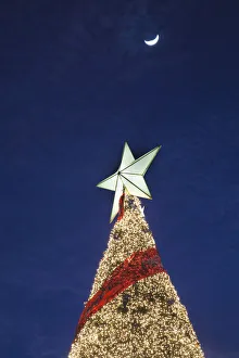 Images Dated 21st December 2009: Dominican Republic, Santo Domingo, Zona Colonial, Plaza Espana, Christmas tree, dusk