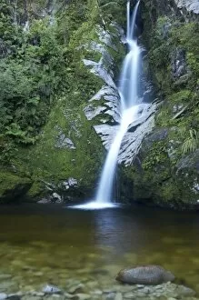 Dorothy Falls, near Lake Kaniere, West Coast, South Island, New Zealand