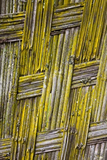 Dorze in the Guge Mountains, Ethiopia