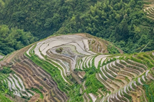 Dragon Spine Rice Terraces Longsheng, China