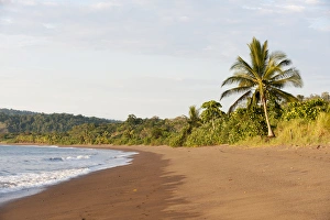 Drake Bay Prints: Drake bay, Osa peninsula, Costa Rica