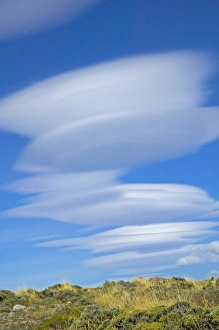 Images Dated 24th April 2009: Dramatic clouds in the blue sky over meadow, Torres del Paine National Park, Patagonia
