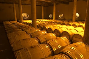 The very dramatic newly built underground barrel aging cellar under the winery, with
