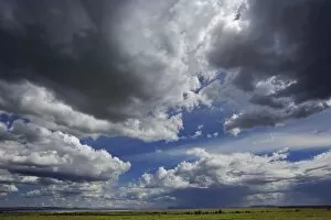 Dramatic sky over grassy plains of the Masai Mara, Kenya