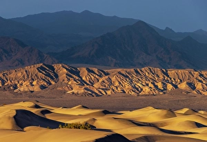 Mojave Desert Prints: Dramatic sunset light on the Mesquite Sand Dunes in Death Valley National Park