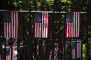 Images Dated 4th July 2012: Draped flags, July 4th; Parade; Ridgefield; Washington; USA