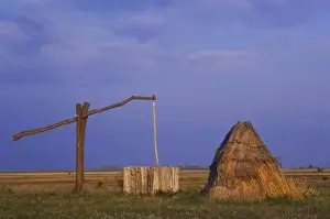 Neusiedler See Prints: Draw well and reed cottage in puszta, National Park Lake Neusiedl, Burgenland, Austria