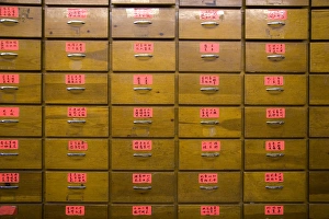 Herb Prints: Drawers containing herbs at a shop in Chinatown, Chicago, Illinois