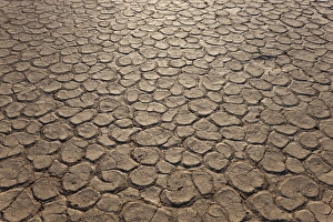 Dried clay pan, Dead Vlei, Namib Desert, Namibia