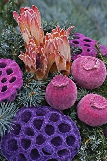 Images Dated 6th November 2005: Dried flower arrangement decorating grave site, Appenzeller, Switzerland