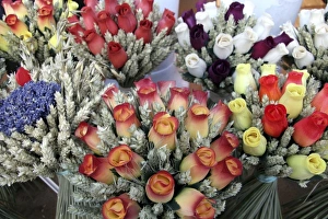 Images Dated 4th January 2007: Dried Flowers of a French Market