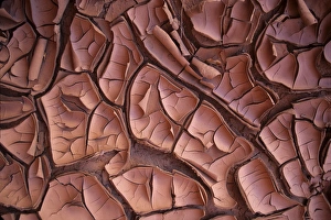 James Kay Prints: Dried mud along White Canyon, Utah