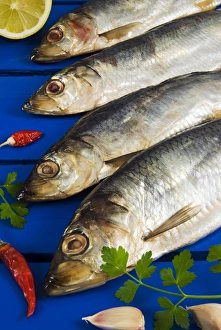 Still Prints: Dried and smoked Atlantic herring (Clupea harengus)