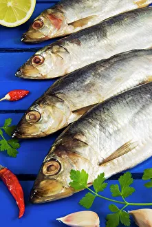 Culinary Prints: Dried and smoked Atlantic herring (Clupea harengus)