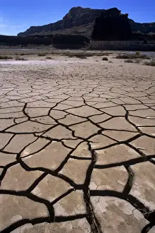 Reservoir Prints: The dried-up lakebed of Lake Powell bakes in the sun below the bottom of Hite Marina