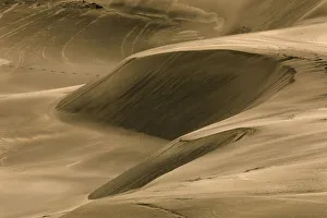 Graphic Prints: Drifting dunes, John Dellenback Dunes, Siuslaw National Forest, Coos County, Oregon