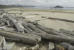 Images Dated 16th September 2006: Driftwood at Long Beach, Tofino, British Columbia, Canada, September 2006
