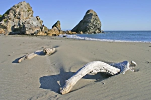 Images Dated 1st January 1980: Driftwood and sea stack rock formations at beach in Harris Beach State Park near