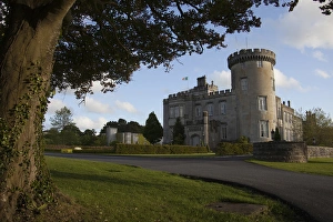 Dromoland Castle Prints: Dromoland Castle Hotel in Newmaket-on-Fergus, Ireland, Framed by an old tree, a side