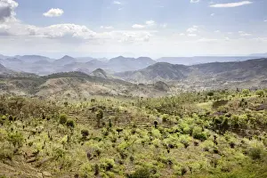 Images Dated 7th February 2010: Dry farming on terraces in the steep and mountainous territory of the Konso, Rift valley