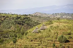 Images Dated 6th February 2010: Dry farming on terraces in the steep and mountainous territory of the Konso, Rift valley