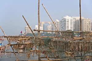 Stick Prints: Drying fish on the waterfront, modern highrises in the distance, Mumbai, India
