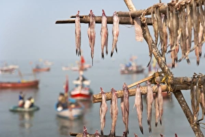 Stick Prints: Drying fish on the waterfront, Mumbai, India