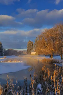 Prints of Ducks in wetlands slough with snowy barn near Kalispell, Montana, USA Images Dated 2016 December: Ducks in wetlands slough with snowy barn near Kalispell, Montana, USA
