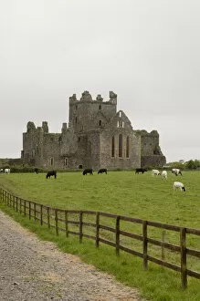 Images Dated 14th May 2006: Dunbrody Abbey, Dumbrody, County Wexford, Ireland
