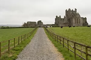 Dunbrody Abbey, Dumbrody, County Wexford, Ireland