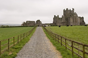 Images Dated 14th May 2006: Dunbrody Abbey, Dumbrody, County Wexford, Ireland
