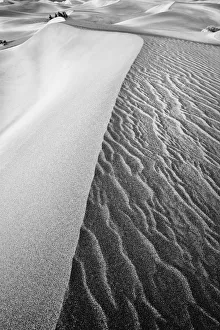 Images Dated 25th August 2020: Dune Abstract, Death Valley