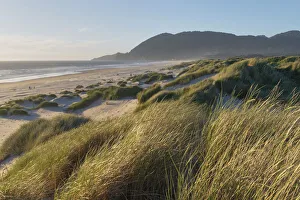 Seashore Prints: Dunes and dune grass at Nehalem State Park, Oregon