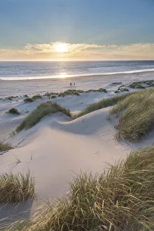 Seashore Prints: Dunes and dune grass at sunset. Nehalem State Park, Oregon