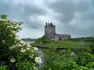 Images Dated 25th January 2023: Dunguaire Castle, a famous landmark, is located on Galway Bay, Ireland