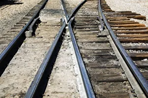 Tool Prints: Durango, Colorado, USA. Durango and Silverton Narrow Gauge Train, Station and Museum