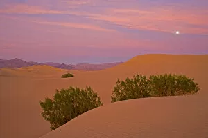Images Dated 15th November 2005: Dusk and setting moon over the sand dunes of Stove Pipe Wells area Death Valley N