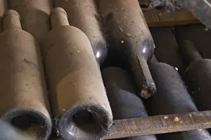 Detail of dusty bottles sur lattes on wooden sticks Chateau Vannieres (Vannieres) La Cadiere