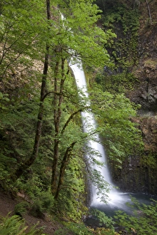 Natural Landmark Prints: Eagle Creek waterfalls