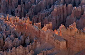 Images Dated 23rd May 2007: Early morning light on hoodoos at Bryce National Park, Utah